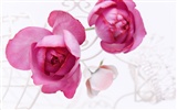 Wedding Flowers Wallpapers (1) #8