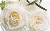 Wedding Flowers Wallpapers (1) #16