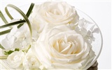 Wedding Flowers Wallpapers (1) #17