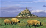 World scenery of the French wallpaper #14