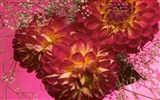 Large Flower Feature Wallpaper (5) #18