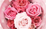 Wedding Flowers Wallpapers (2)