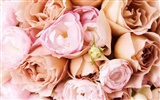 Wedding Flowers Wallpapers (2) #14