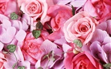Wedding Flowers Wallpapers (3)