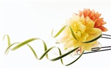 Wedding Flowers Wallpapers (3) #5