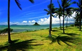 바탕 화면 하와이의 아름다운 풍경 #2