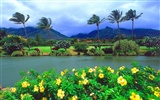 바탕 화면 하와이의 아름다운 풍경 #10