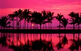 바탕 화면 하와이의 아름다운 풍경 #20