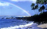 Красивые пейзажи Гавайи обои #25