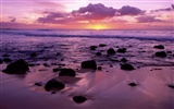 바탕 화면 하와이의 아름다운 풍경 #29