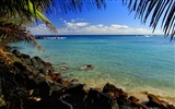 바탕 화면 하와이의 아름다운 풍경 #30