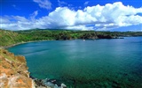 바탕 화면 하와이의 아름다운 풍경 #40