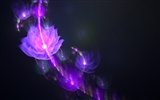 夢幻花朵設計壁紙(四) #13