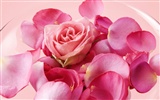 Wedding Flowers Wallpapers (4)