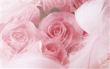 Wedding Flowers Wallpapers (4) #5