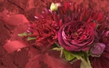 Wedding Flowers Wallpapers (4) #6