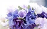 Wedding Flowers Wallpapers (4) #9