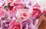 Wedding Flowers Wallpapers (4) #10