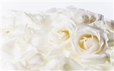 Wedding Flowers Wallpapers (4) #14