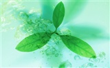 透かし新鮮な緑の葉の壁紙 #2