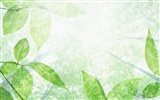 透かし新鮮な緑の葉の壁紙 #11