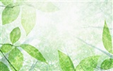 清爽水紋綠葉壁紙 #34335