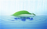 Watermark fresh green leaf wallpaper #12