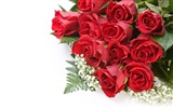 Large Rose Photo Wallpaper (1) #4