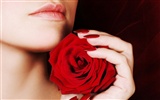 Large Rose Photo Wallpaper (1) #19