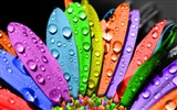 Bright colorful wallpaper (2)