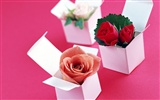 Flowers and gifts wallpaper (1)