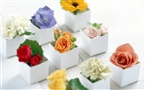 Flowers and gifts wallpaper (1) #2