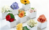 Blumen und Geschenke Wallpaper (1) #2