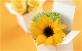 Blumen und Geschenke Wallpaper (1) #5