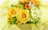 Blumen und Geschenke Wallpaper (1) #9