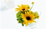 Blumen und Geschenke Wallpaper (1) #17