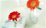 Blumen und Geschenke Wallpaper (1) #18