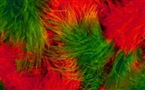 Colorful feather wings close-up wallpaper (1) #9