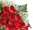 Large Rose Photo Wallpaper (2) #5