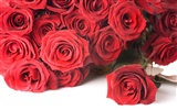 Large Rose Photo Wallpaper (2) #6