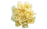 Large Rose Photo Wallpaper (2) #11