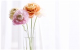 Home Still Life Wallpaper (11) #7