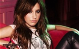 Ashley Tisdale 阿什麗·提斯代爾美女壁紙(一) #15