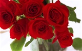 Large Rose Photo Wallpaper (3) #4