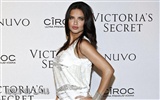 Adriana Lima 阿德瑞娜·利瑪美女壁紙 #7