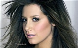 Ashley Tisdale 阿什麗·提斯代爾美女壁紙(二) #19