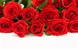 Large Rose Photo Wallpaper (4) #3