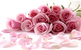 Large Rose Photo Wallpaper (4) #6