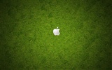 Apple theme wallpaper album (3) #6