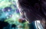 Final Fantasy 13 HD Wallpaper (3) #11